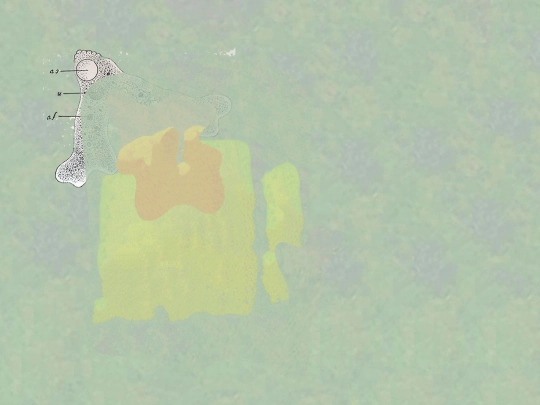 amibedansleciel screenshot