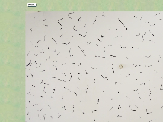 myodesopsie screenshot