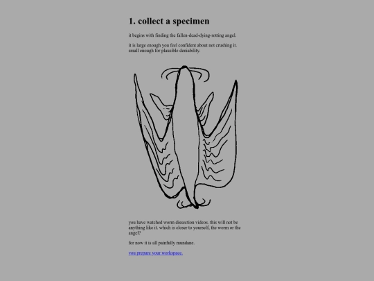 dataplankton/3 screenshot