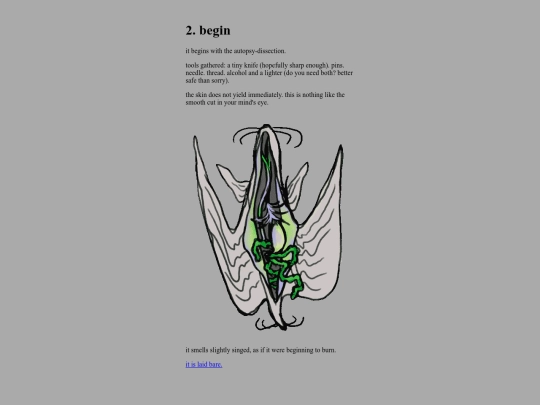 dataplankton/4 screenshot