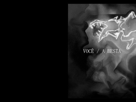 works/you-thebeast/br screenshot