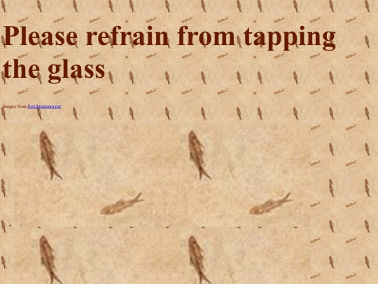 doublefish screenshot