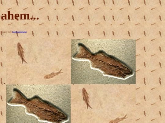 fish screenshot