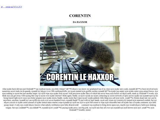 web_1990/corentin screenshot
