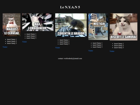 web_2010 screenshot