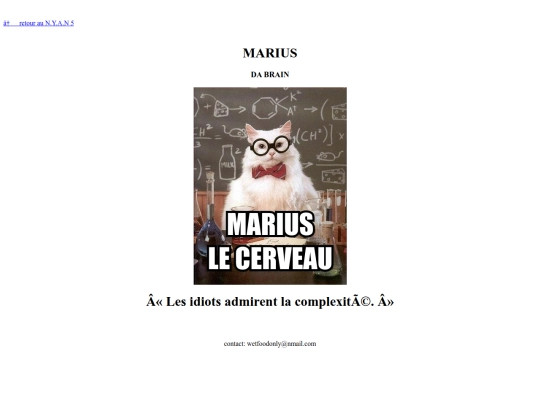 web_2010/marius screenshot