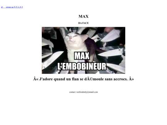 web_2010/max screenshot