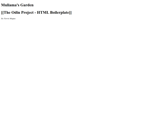 notes/The Odin Project/The Odin Project - HTML Boilerplate screenshot