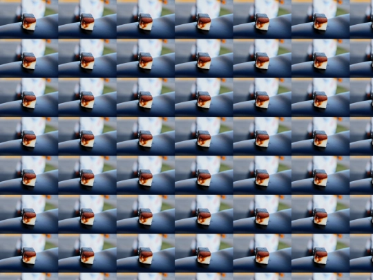 virus screenshot