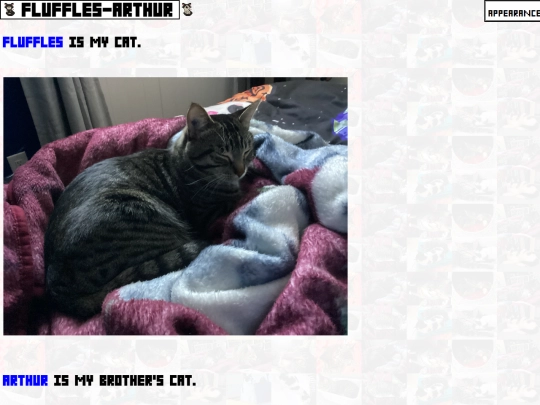 cats screenshot