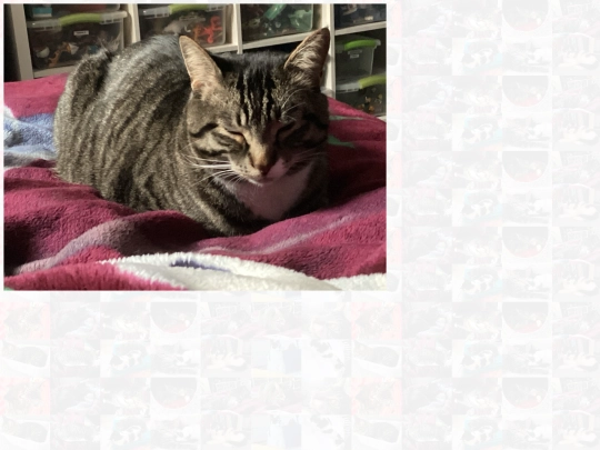 test screenshot