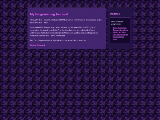 Programming screenshot