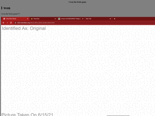 brickgame_winning_information screenshot