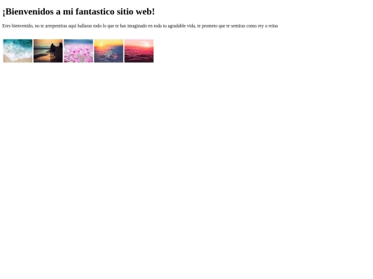 pagWeb01 screenshot
