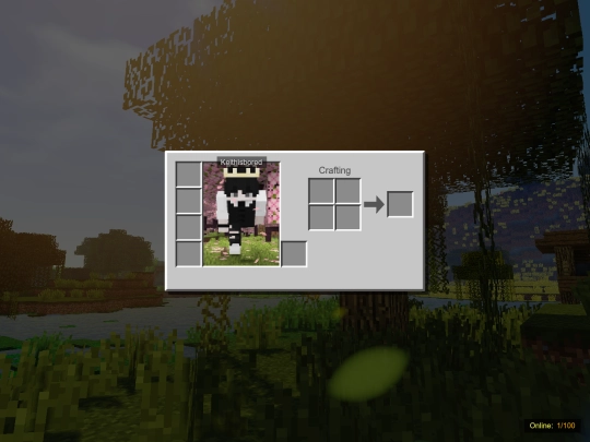 inventory screenshot