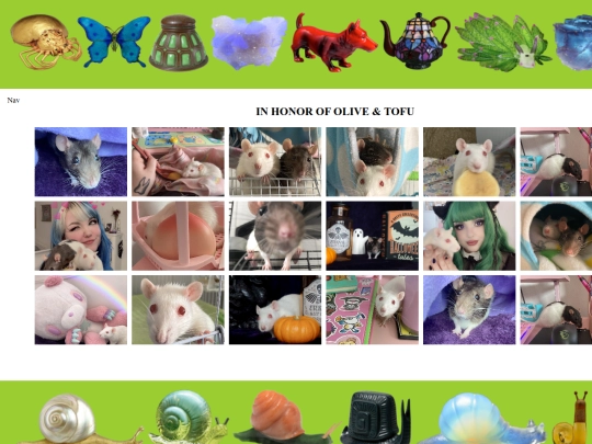 pets screenshot