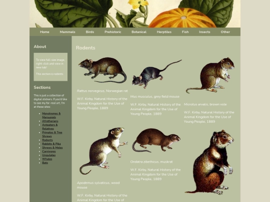 rodents screenshot