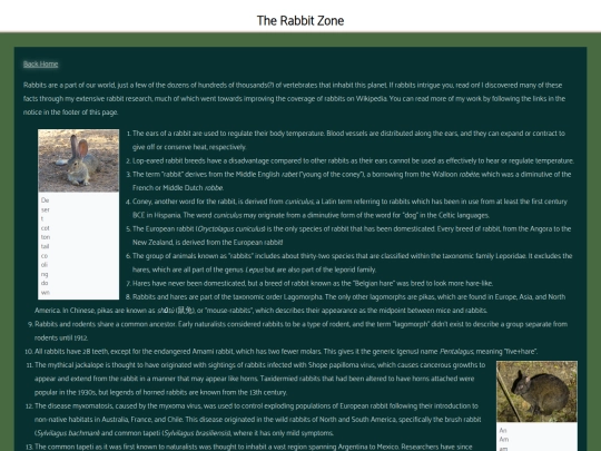 excitement-central/rabbitfact screenshot