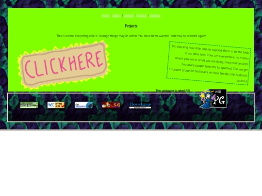 jsf/projects screenshot