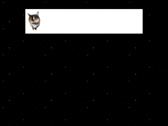 salem screenshot