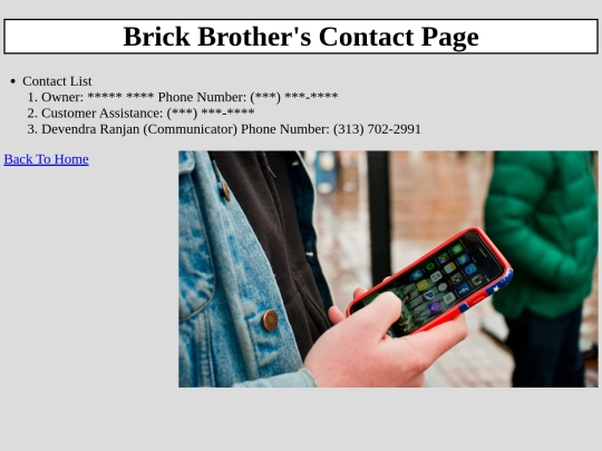 Brick Brothers/Contact_page screenshot