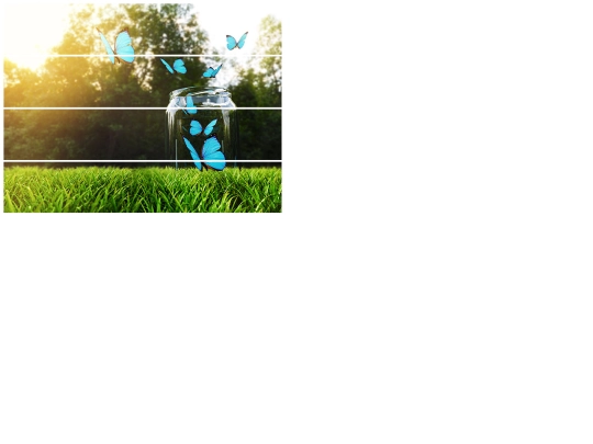 puzzlesolver screenshot