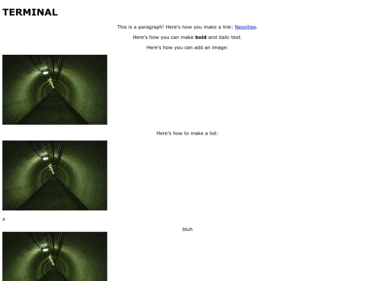 terminal screenshot