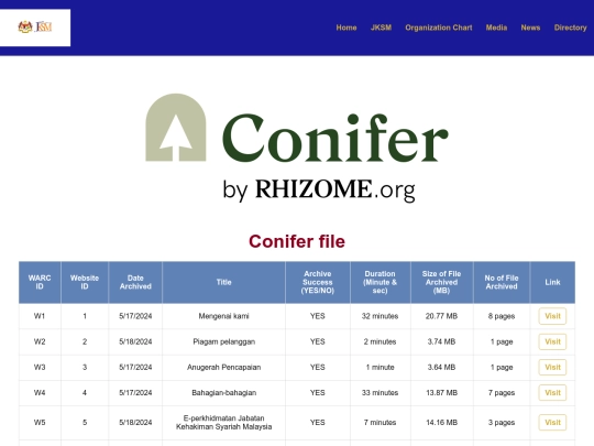 conifer screenshot