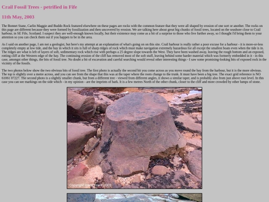 fossils screenshot