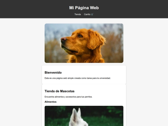 pagina_web_tarea screenshot