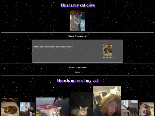 cat screenshot