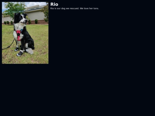 rio screenshot