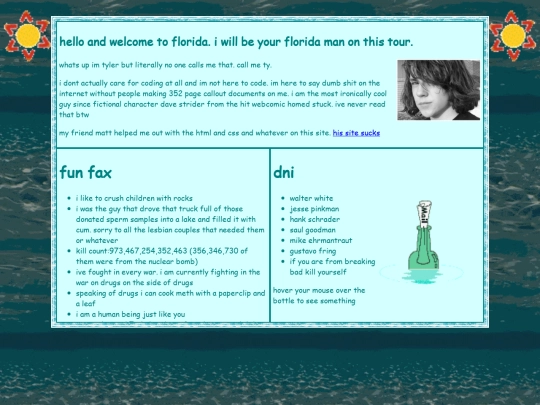 ty13 screenshot