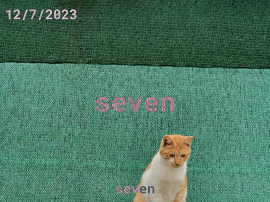 calendar screenshot