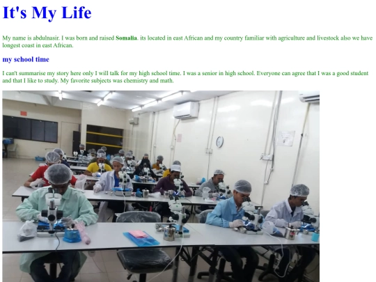 mylife screenshot