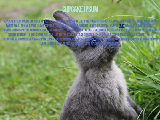 web-design/2-CSS/CSSpractice1 screenshot