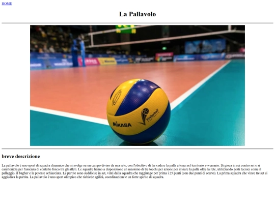 passione/pallavolo screenshot