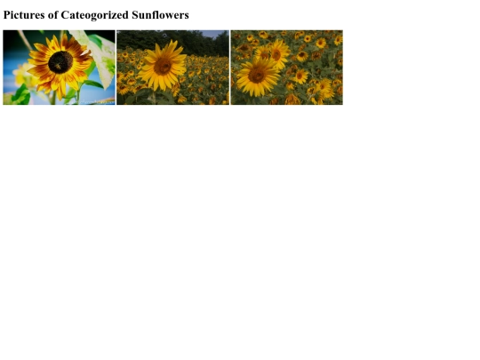 Pics screenshot