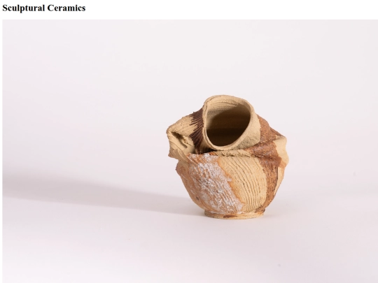 artwork/ceramics/sculptural-ceramics screenshot