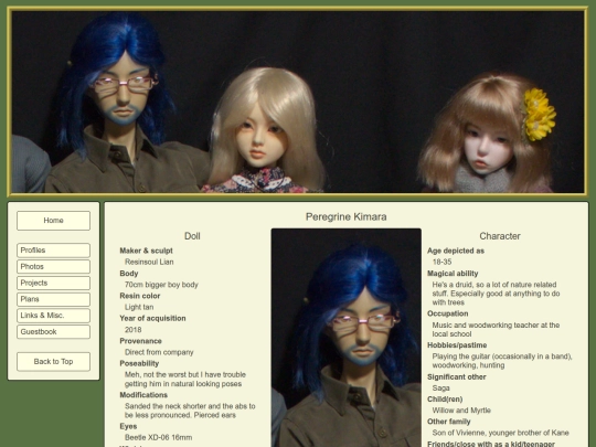 Profiles/GEN_1/Peregrine-profile screenshot