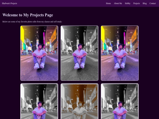 Project screenshot