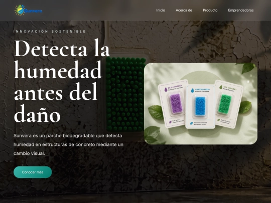 Inicio screenshot