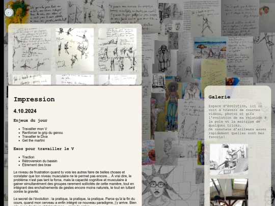 dance-gallery screenshot
