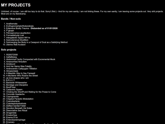 projects screenshot