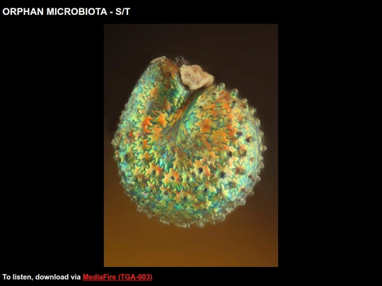 tga003 screenshot