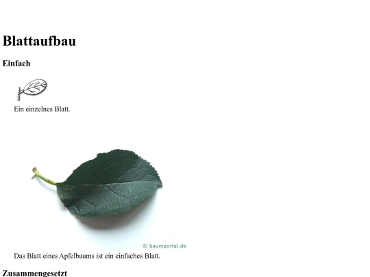 bio_2/blattaufbau screenshot