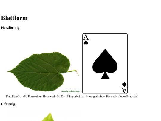 bio_2/blattform screenshot