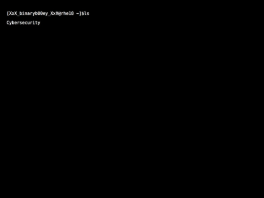 cybersecurity screenshot