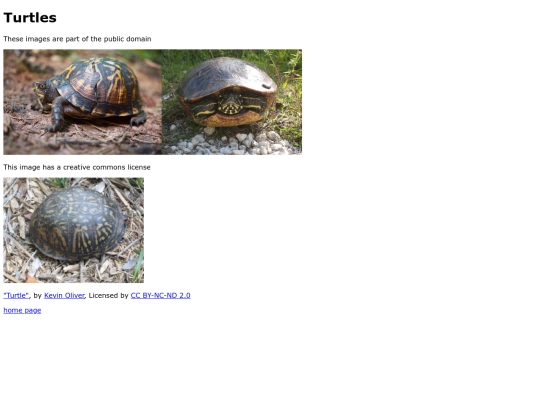 image_gallery screenshot