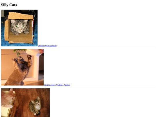 cats screenshot